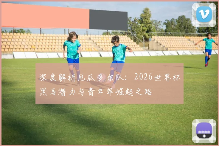 深度解析厄瓜多尔队:2026世界杯黑马潜力与青年军崛起之路